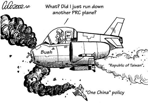 Bush airplane