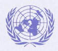 UN Flag